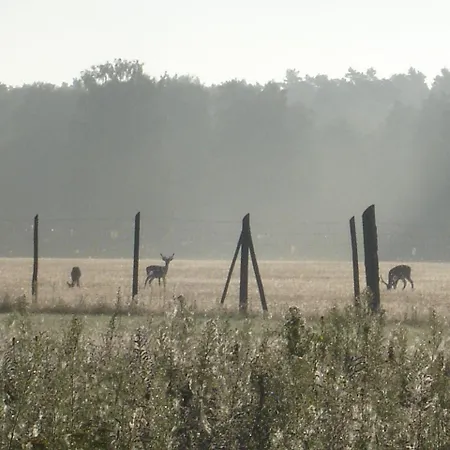 Ferienwohnung-1-im-landhaus-am-wildpark-boek * Boek