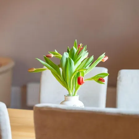 Ferienwohnung-1-im-landhaus-am-wildpark-boek Boek